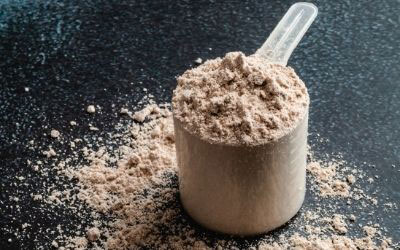 Are vegan protein powders healthy?