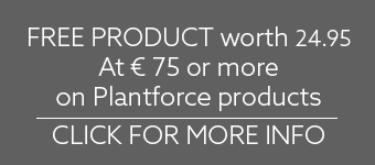 Plantforce - Synergy Protein Vanilla - 3x 800g Bundle Deal