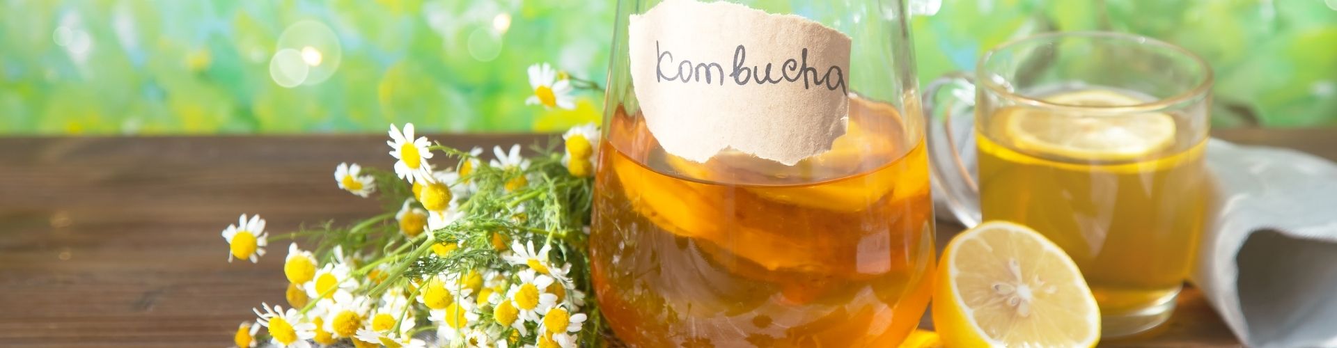 benefits of Kombucha