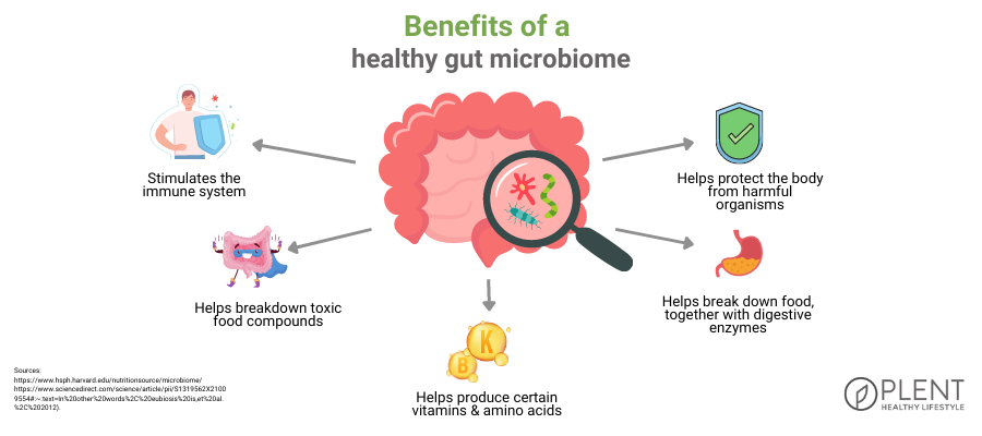 benefits of a healthy gut microbiome