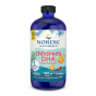 Nordic Naturals - Kinderen DHA, 530mg Omega-3 Strawberry - 473 ml