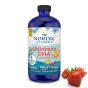 Kinderen DHA, 530mg Omega-3 Aardbei - 473 ml - Nordic Naturals