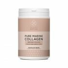 Pure Marine Collagen +C – Chocolate Dream – 300 g | Premium Fish Collagen with Vitamin C