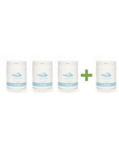 Big Food - Creatine Poeder Monohydrate  - 500 g (3+1 FREE)