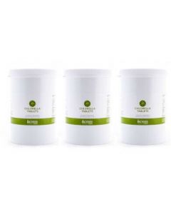 Big Food - Nederlandse Chlorella 1kg - bundel van 3 potten - 3x4000 tabletten van 250mg