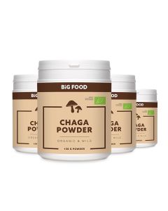 Big Food Bio Chaga Powder RAW – Exclusive 3+1 END OF YEAR DEAL