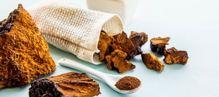 What is Chaga and How to benefit from it