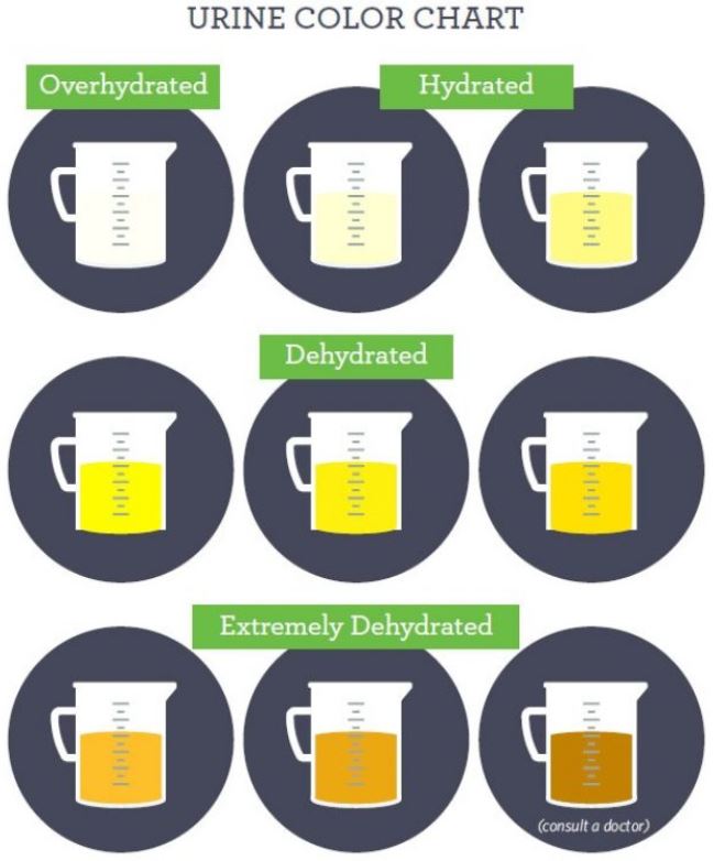 urine chart - checking urine color