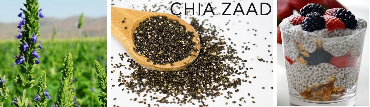 chia zaad chia zaad