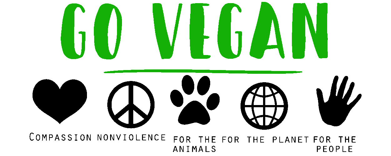 vega