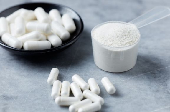 MSM Powder