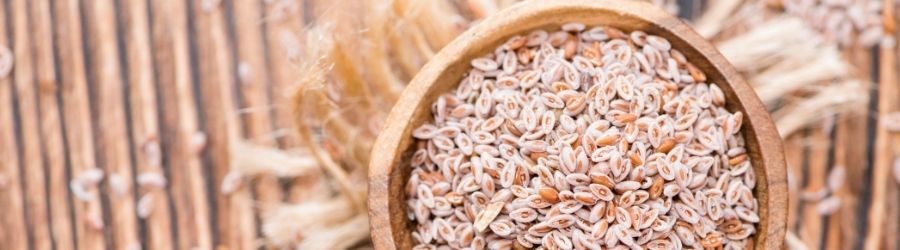 Psyllium fiber side effects