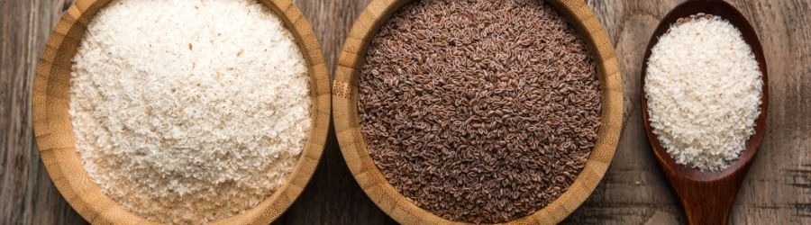 what is psyllium husk