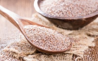 What is psyllium husk? What is psyllium husk?